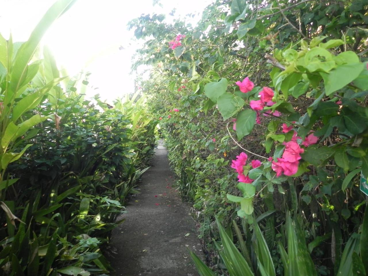 Casa Boubou * Sainte-Anne (Grande-Terre)